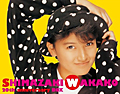 島崎和歌子20th anniversary BOX